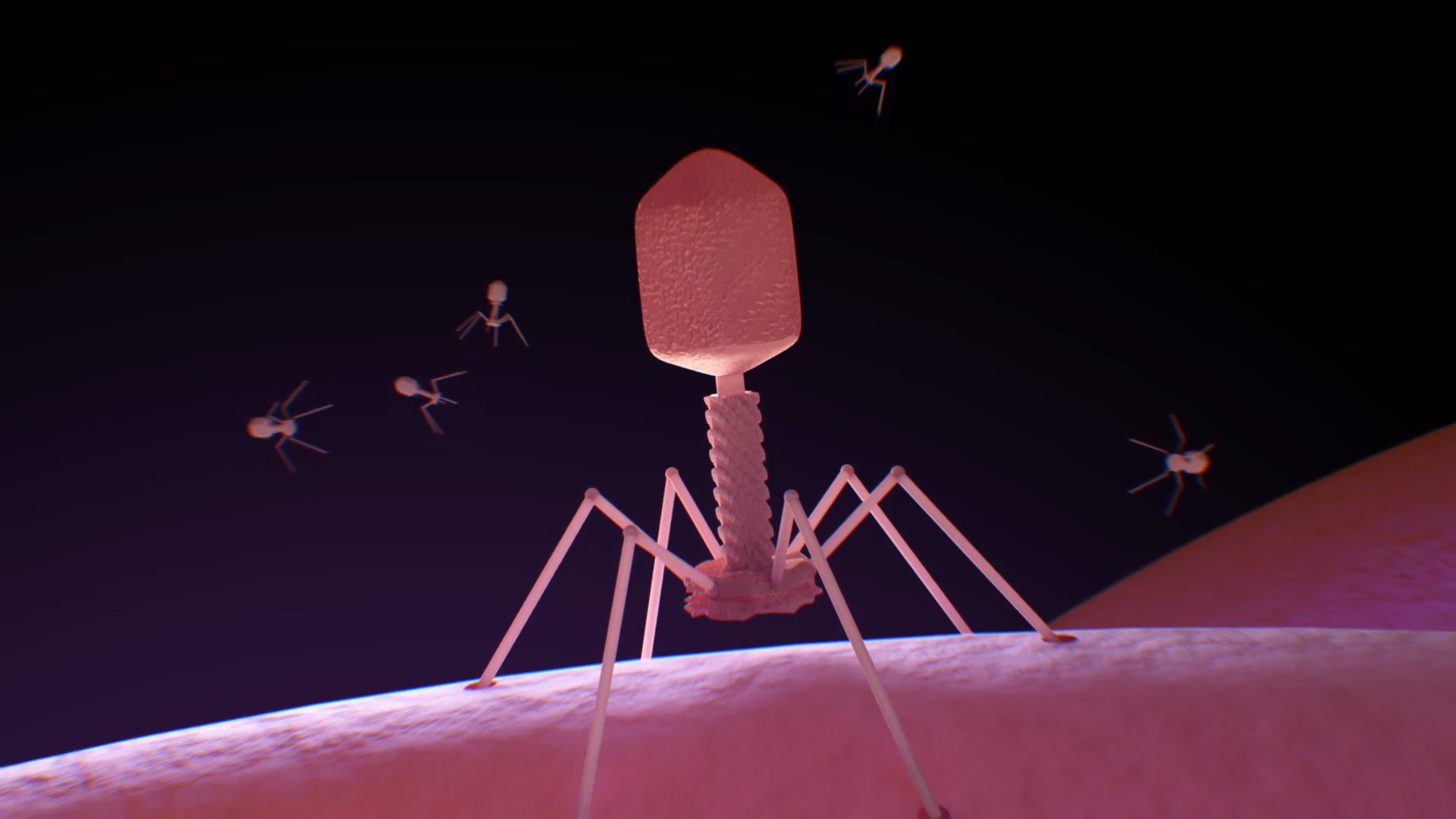 Phage